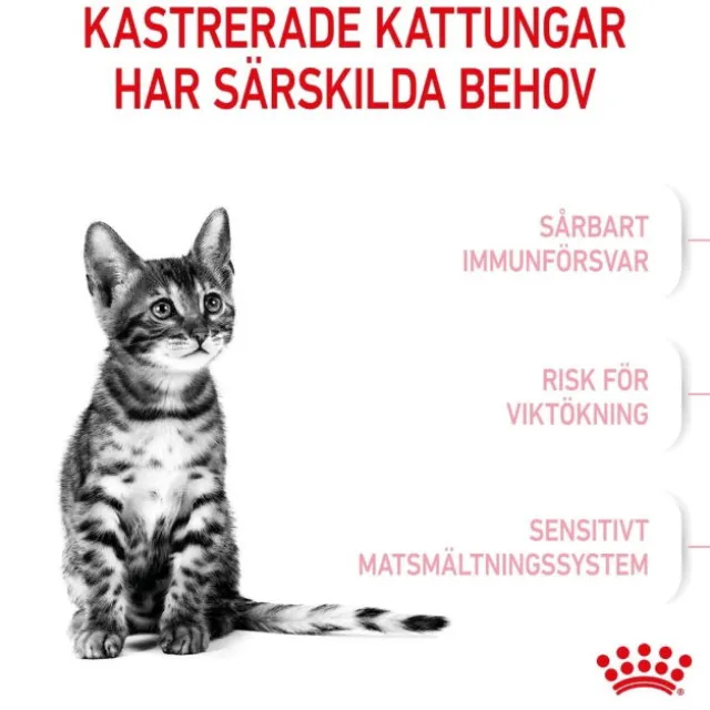 Royal Canin Kitten Sterilised torrfoder för kattunge