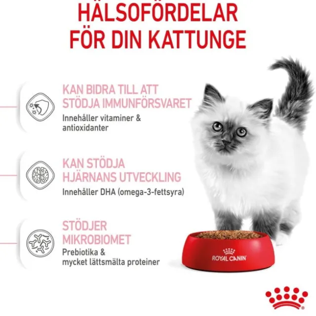 Royal Canin Kitten torrfoder för kattunge