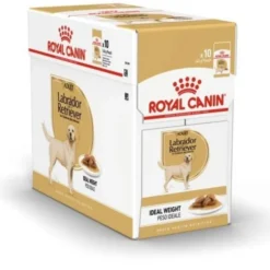 Royal Canin Labrador Retriever Adult Gravy våtfoder för hund 10x140 g