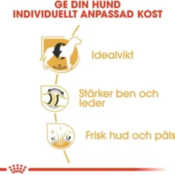 Royal Canin Labrador Retriever Adult torrfoder för hund