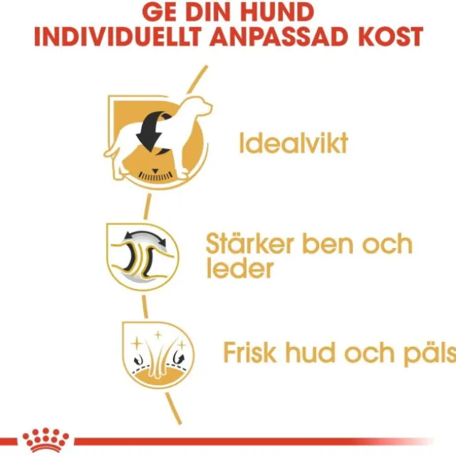 Royal Canin Labrador Retriever Adult torrfoder för hund