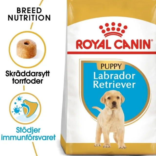 Royal Canin Labrador Retriever Puppy torrfoder för hundvalp