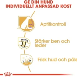 Royal Canin Labrador Retriever Sterilised Adult torrfoder för hund
