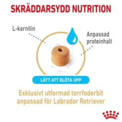 Royal Canin Labrador Retriever Adult 5+ torrfoder för hund 12 kg