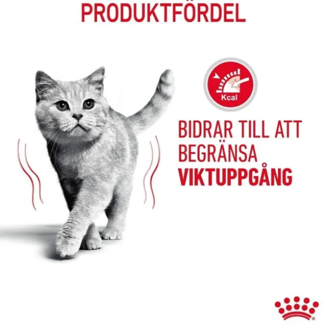 Royal Canin Light Weight Care Jelly Adult våtfoder för katt 12x85 g