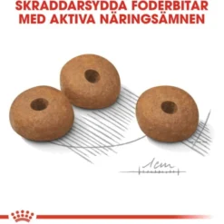 Royal Canin Light Weight Care Mini Adult torrfoder för hund