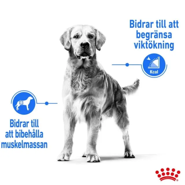 Royal Canin Light Weight Care Medium Adult torrfoder för hund