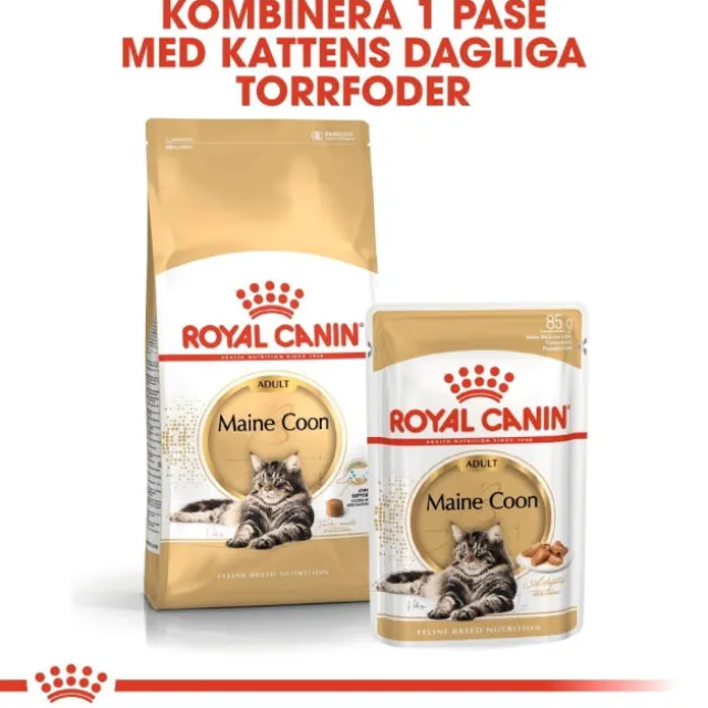 Royal Canin Maine Coon Adult Gravy våtfoder för katt 12 x 85 g