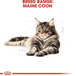 Royal Canin Maine Coon Adult Gravy våtfoder för katt 12 x 85 g