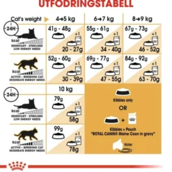 Royal Canin Maine Coon Adult torrfoder för katt