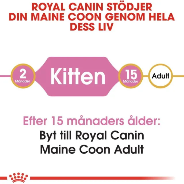 Royal Canin Maine Coon Kitten torrfoder för kattunge