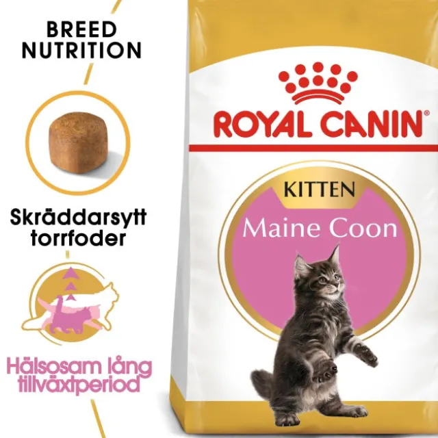 Royal Canin Maine Coon Kitten torrfoder för kattunge