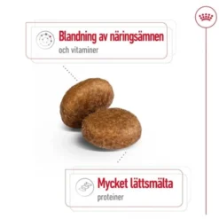 Royal Canin Maxi Adult 5+ torrfoder för hund