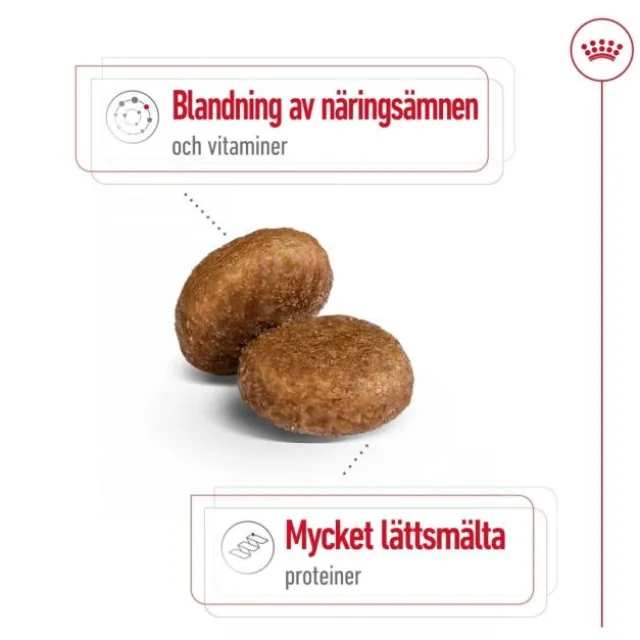 Royal Canin Maxi Adult 5+ torrfoder för hund
