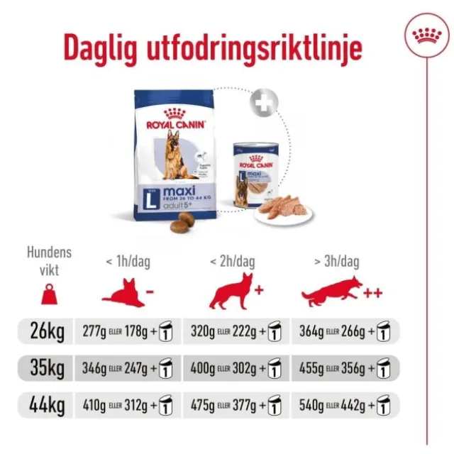 Royal Canin Maxi Adult 5+ torrfoder för hund