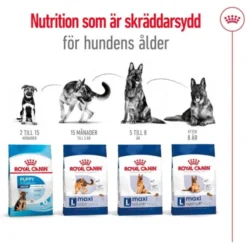 Royal Canin Maxi Ageing 8+ torrfoder för hund