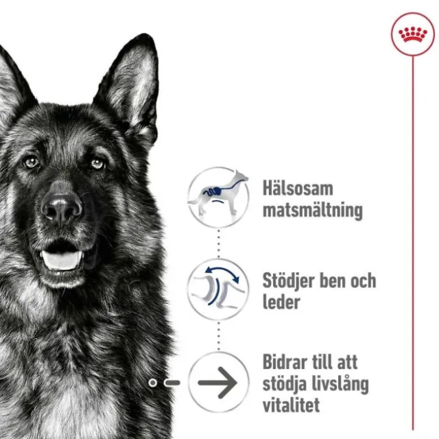 Royal Canin Maxi Ageing 8+ torrfoder för hund