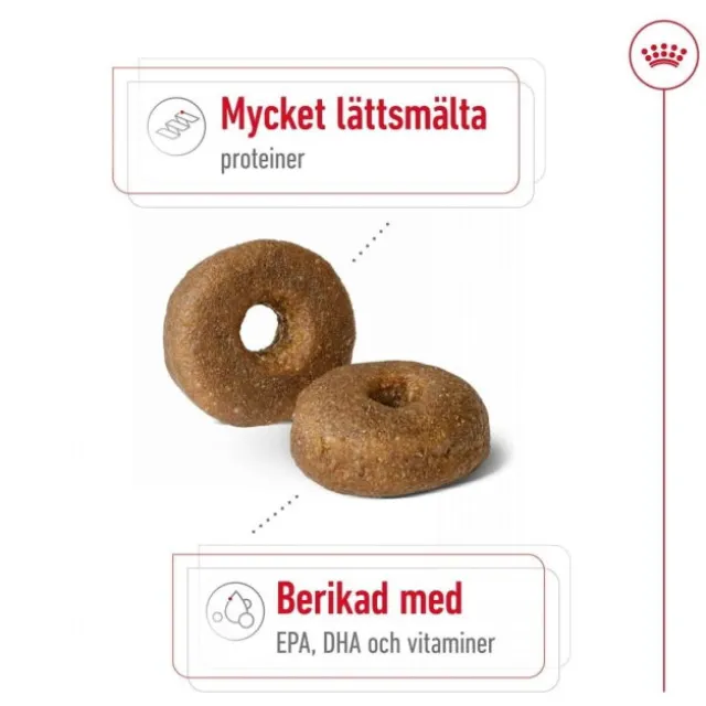 Royal Canin Maxi Ageing 8+ torrfoder för hund