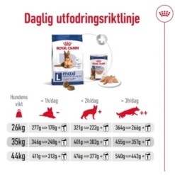 Royal Canin Maxi Ageing 8+ torrfoder för hund