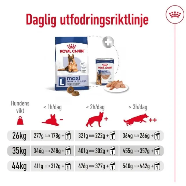 Royal Canin Maxi Ageing 8+ torrfoder för hund