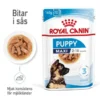 Royal Canin Maxi Puppy Gravy våtfoder för hundvalp 10x140g