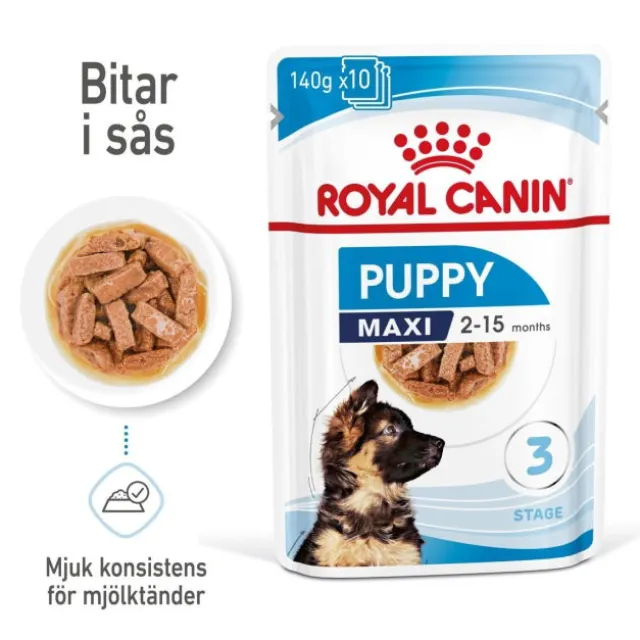 Royal Canin Maxi Puppy Gravy våtfoder för hundvalp 10x140g