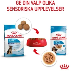 Royal Canin Maxi Puppy Gravy våtfoder för hundvalp 10x140g