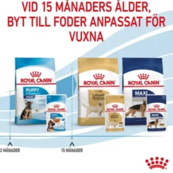 Royal Canin Maxi Puppy Gravy våtfoder för hundvalp 10x140g