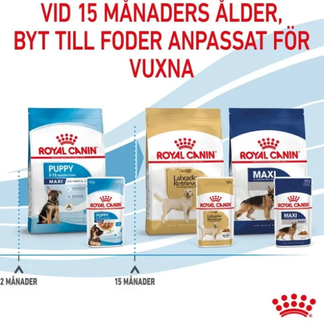 Royal Canin Maxi Puppy Gravy våtfoder för hundvalp 10x140g