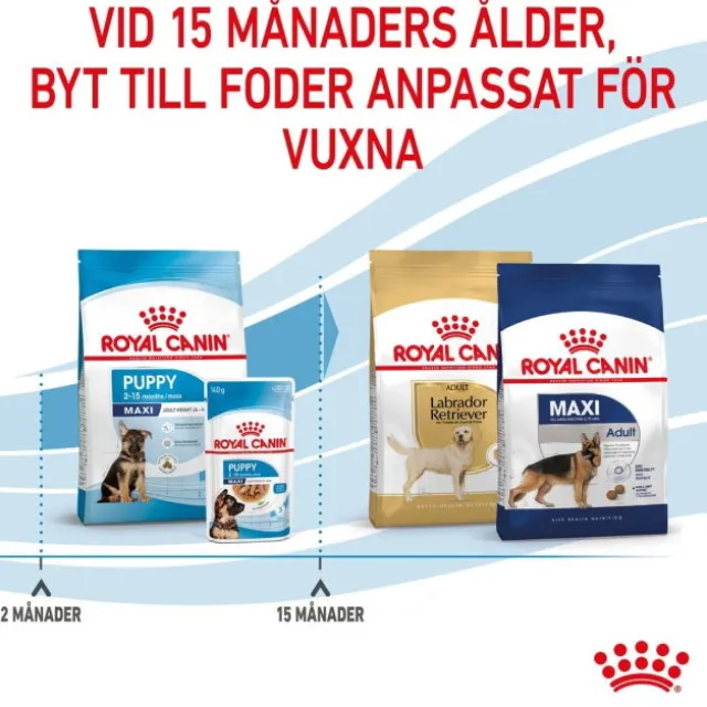 Royal Canin Maxi Puppy Torrfoder för hundvalp