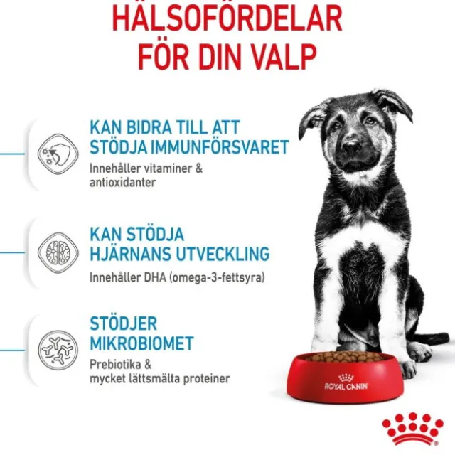 Royal Canin Maxi Puppy Torrfoder för hundvalp