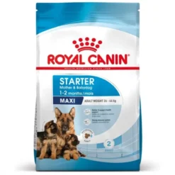Royal Canin Maxi Starter torrfoder för hund och hundvalp