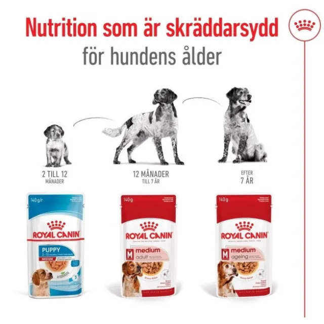 Royal Canin Medium Adult Gravy våtfoder för hund 10x140g