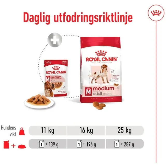 Royal Canin Medium Adult Gravy våtfoder för hund 10x140g
