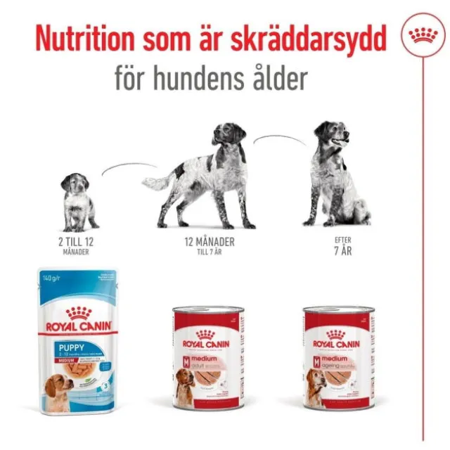 Royal Canin Medium Adult Loaf våtfoder för hund 410 g