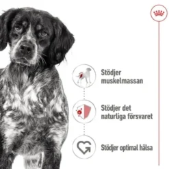 Royal Canin Medium Adult Loaf våtfoder för hund 410 g