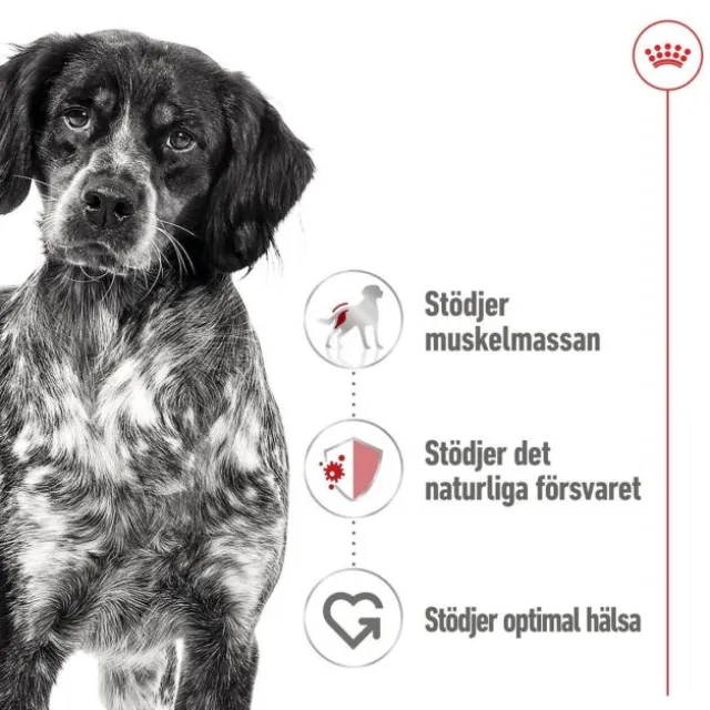 Royal Canin Medium Adult Loaf våtfoder för hund 410 g