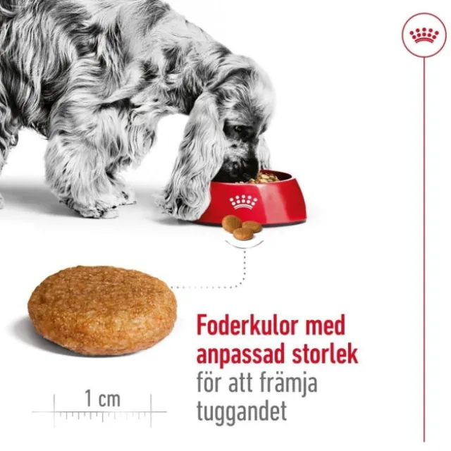 Royal Canin Medium Adult torrfoder för hund