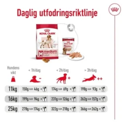 Royal Canin Medium Adult torrfoder för hund