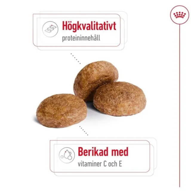 Royal Canin Medium Adult 7+ torrfoder för hund
