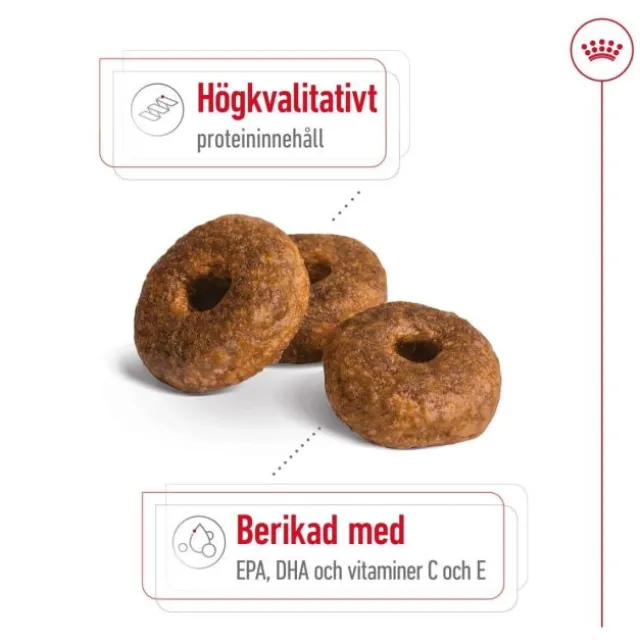 Royal Canin Medium Ageing 10+ torrfoder för hund