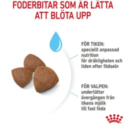 Royal Canin Medium Starter torrfoder för hund och hundvalp
