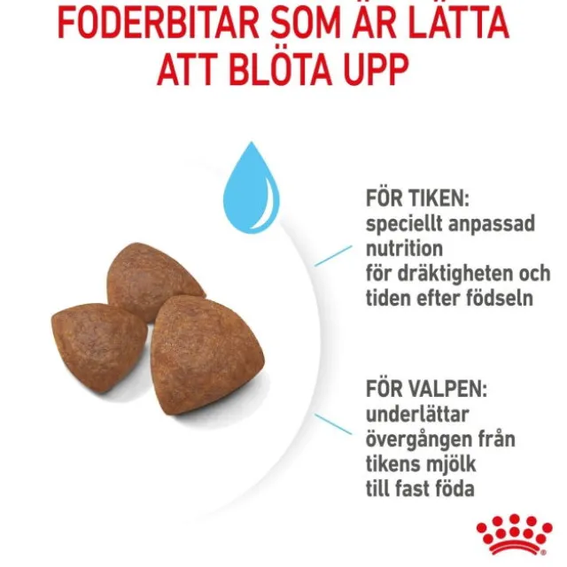 Royal Canin Medium Starter torrfoder för hund och hundvalp