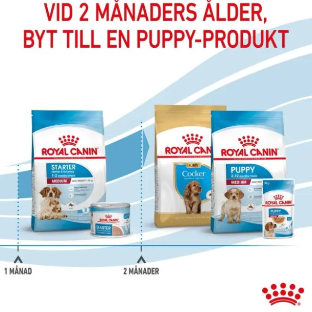 Royal Canin Medium Starter torrfoder för hund och hundvalp