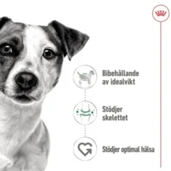 Royal Canin Mini Adult Gravy våtfoder för hund 12x85g