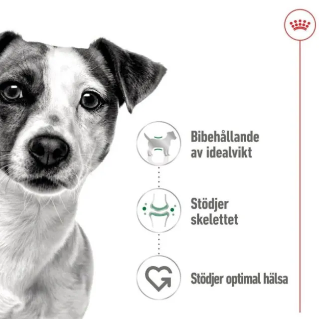 Royal Canin Mini Adult Gravy våtfoder för hund 12x85g