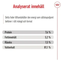 Royal Canin Mini Adult Gravy våtfoder för hund 12x85g