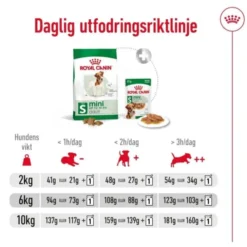 Royal Canin Mini Adult torrfoder för hund
