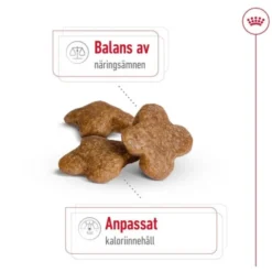 Royal Canin Mini Adult 8+ torrfoder för hund