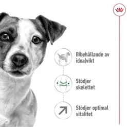 Royal Canin Mini Adult 8+ torrfoder för hund